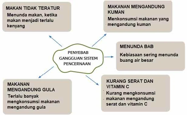 penyebab gangguan pada sistem pencernaan