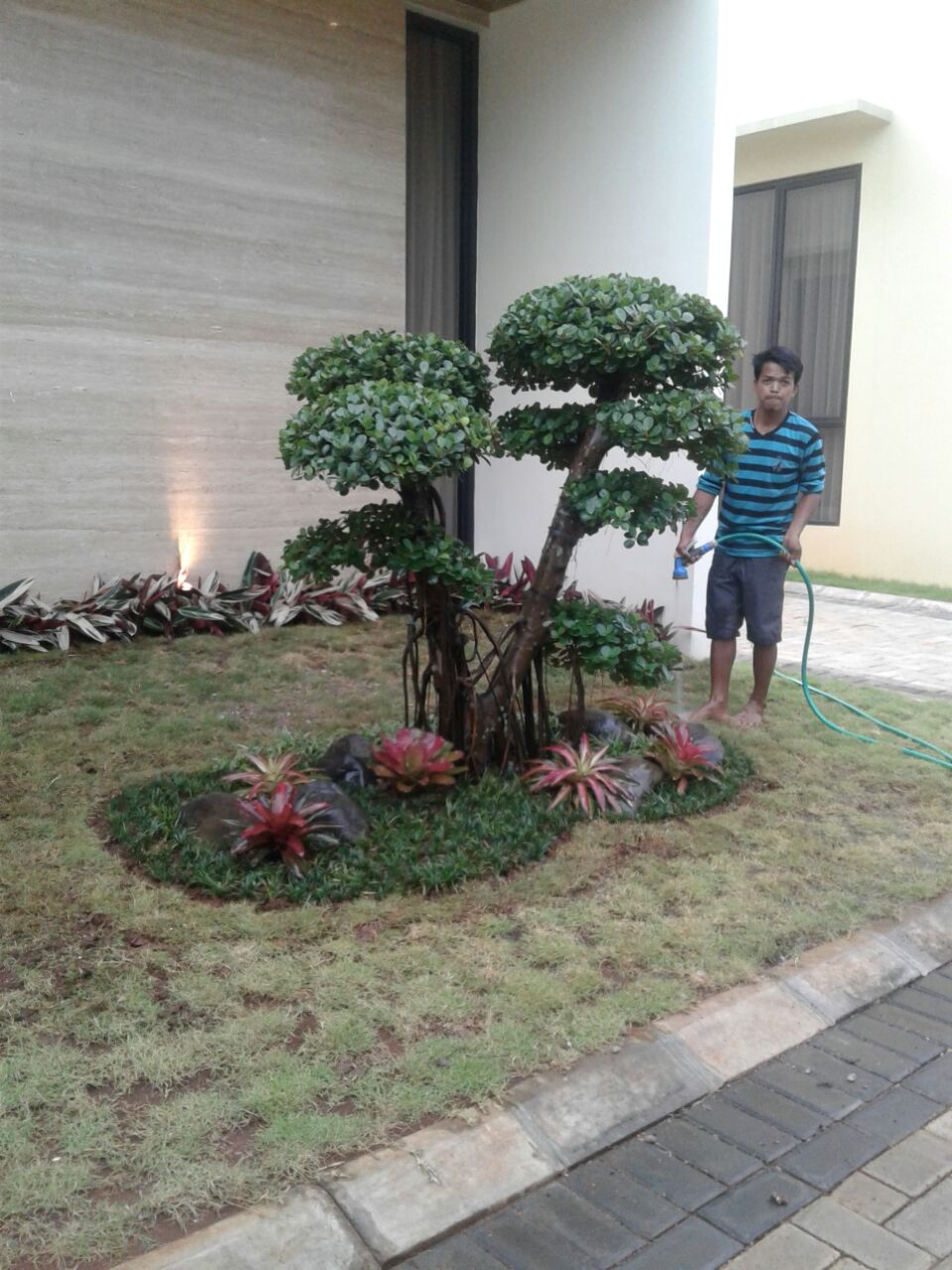 TAMAN MINIMALIS DEPAN RUMAH JASA PEMBUATAN TAMAN MINIMALIS Jasa