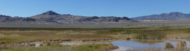 12: provo lake level