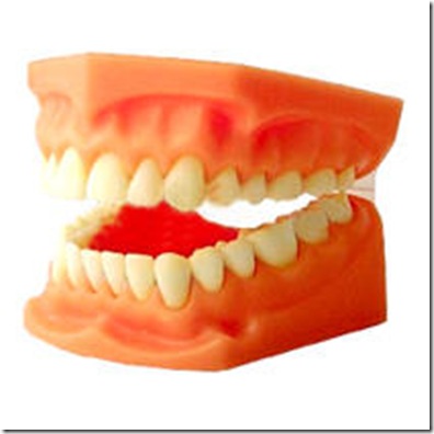 dentadura rindo