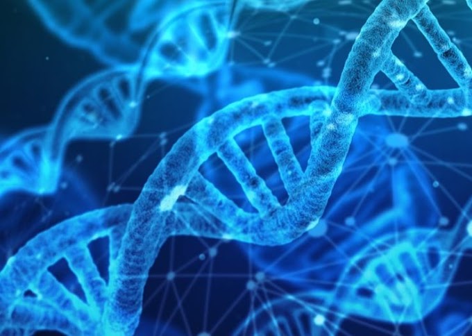 Η ΕΞΕΤΑΣΗ DNA ΓΙΝΕΤΑΙ ΕΔΩ ΚΑΙ 1000 ΧΡΟΝΙΑ