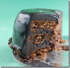 sacher cross section