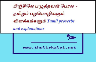 பிஞ்சிலே பழுத்தவன் போல  - தமிழ்ப் பழமொழிகளும் விளக்கங்களும் Tamil proverbs and explanations