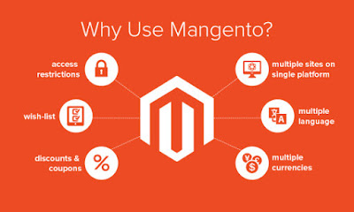 Hire Magento Developer