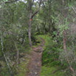 View album