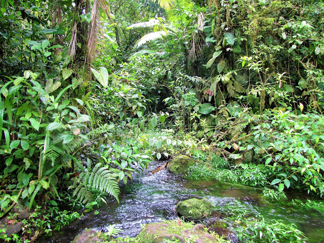 biocorridor watershed costa rica