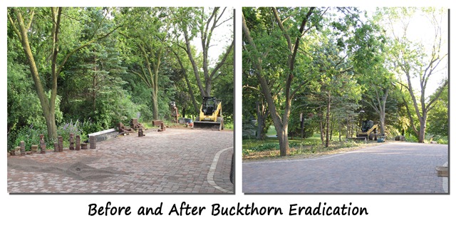 Before and After 2