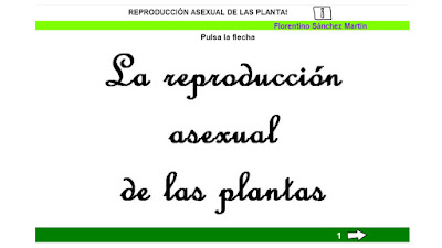 https://cplosangeles.educarex.es/web/quinto_curso/naturales_5/plantas_asexual_5/plantas_asexual_5.html