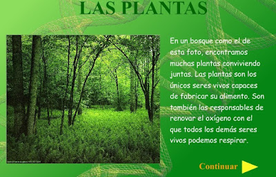 http://www.juntadeandalucia.es/averroes/colegio_sanjosedepalmete/conoc_medio_5/plantas.swf
