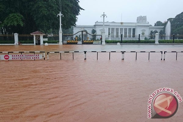 Jokowi akan Undang Ahok Bahas Banjir Jakarta