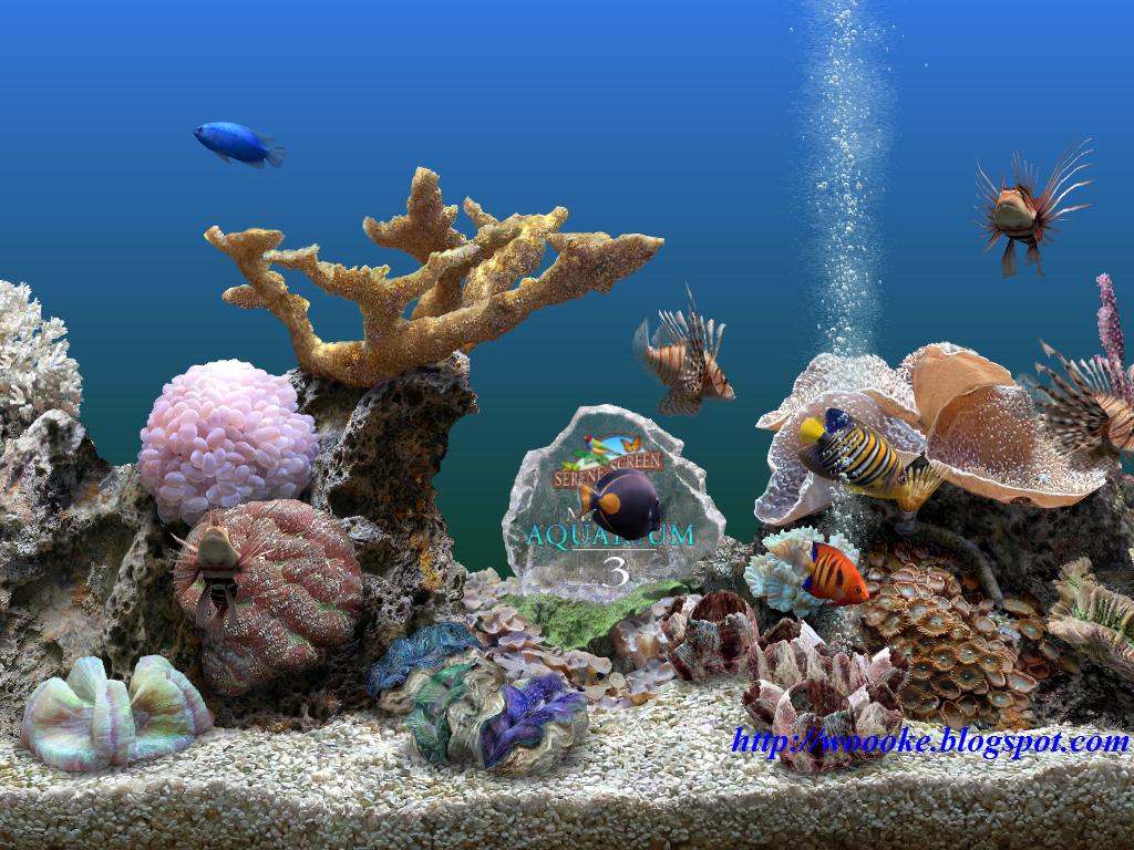 Download Wallpaper Aquarium 3d Bergerak Images Hewan Lucu