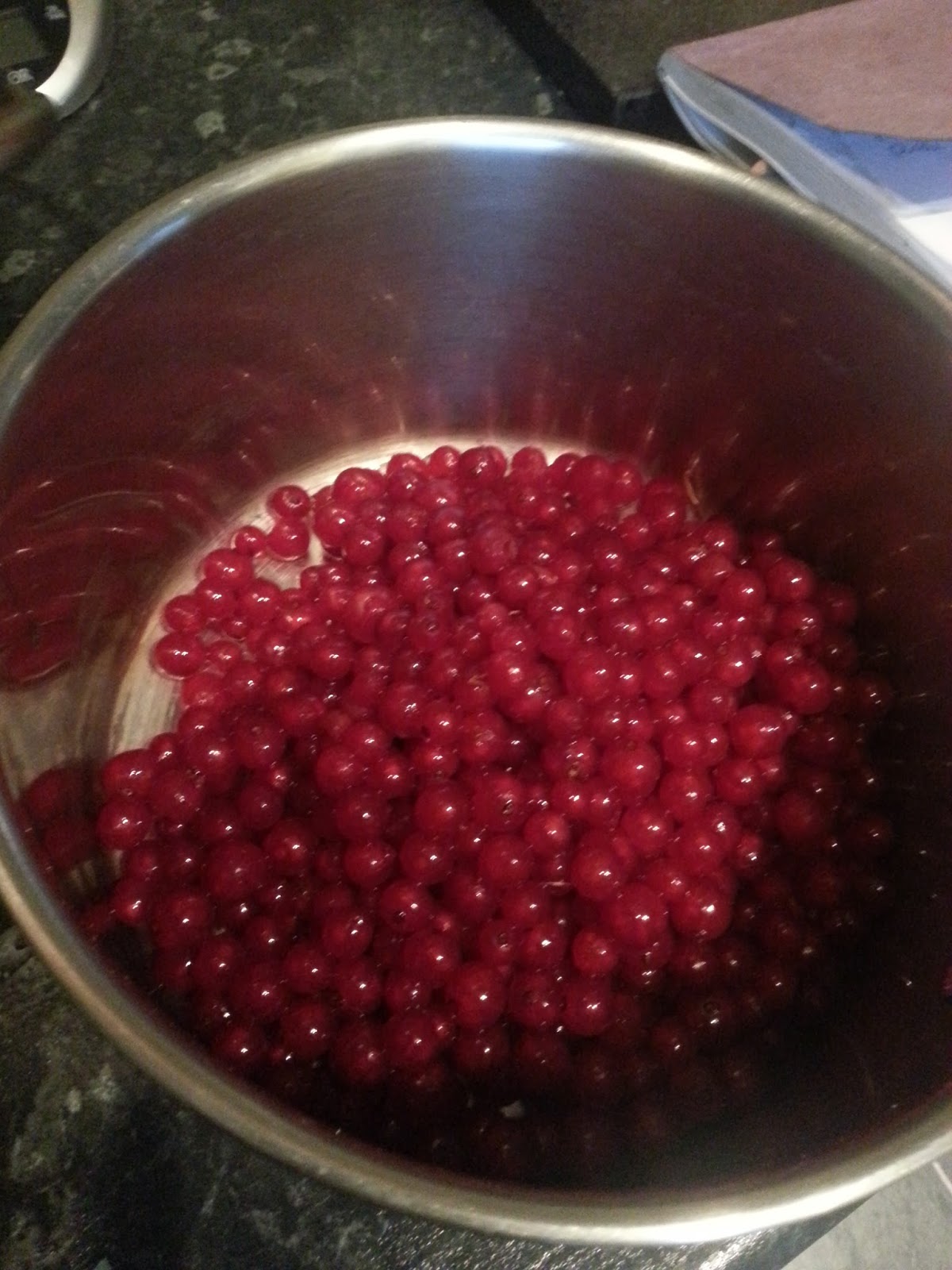 Neil Cooks Grigson 383 Spiced Redcurrant Jelly