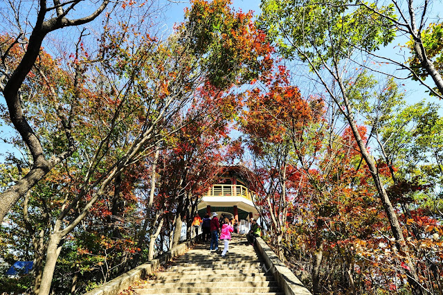 內藏山紅葉