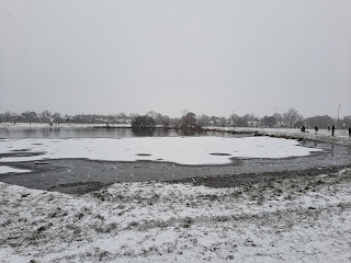 grey frozen landscape in snow