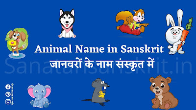 Animal Name in Sanskrit | जानवरों के नाम संस्कृत में