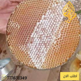 فؤائد القروف - شهد عسل النحل