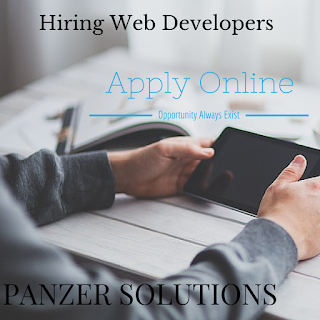 Panzer Solutions | Panzer Solutions LLC | PanzerSolutions