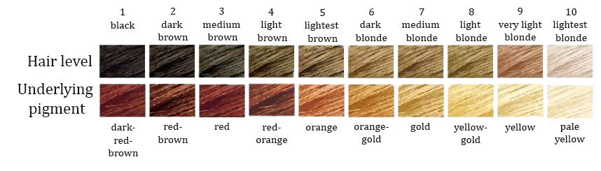 How I Got My Hair Colour Bleaching Lightening Dark Brown Hair Colouring And Toning Mateja S Beauty Blog