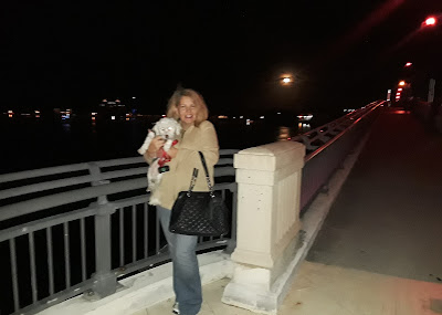 There is so much dog friendly walking in West Palm Beach and Palm Beach. The walk across the beautiful Flagler Memorial Bridge is stunning, day or night.