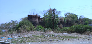 Induri fort