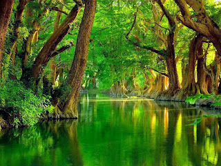 Beautiful Natural Wallpaper Of 2014