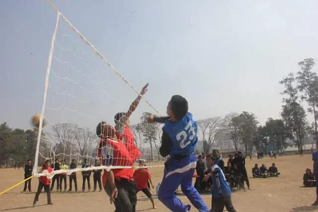 Main volly bola