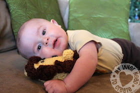 Crochet Plush Lion