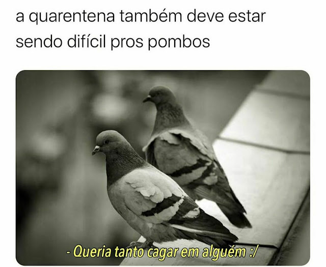 Memes engraçados 