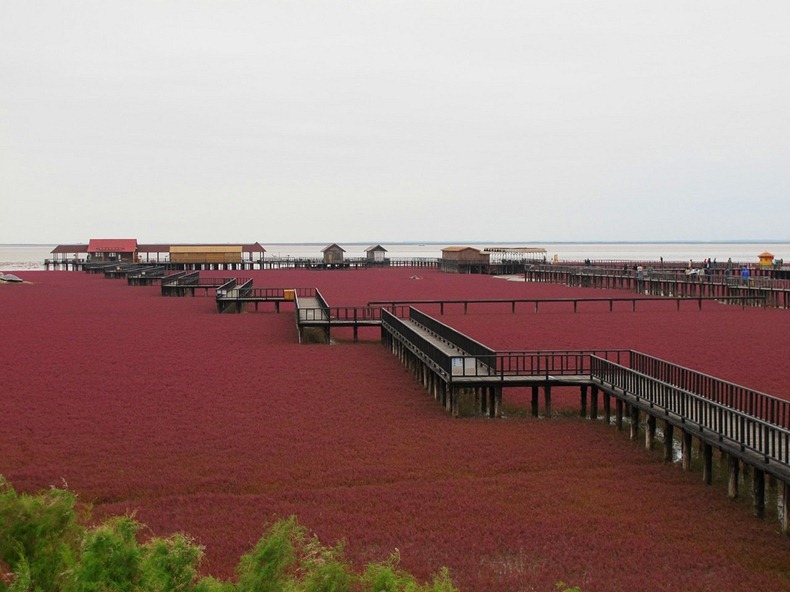 panjin-red-beach-7