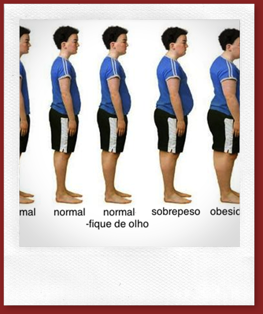 obes1