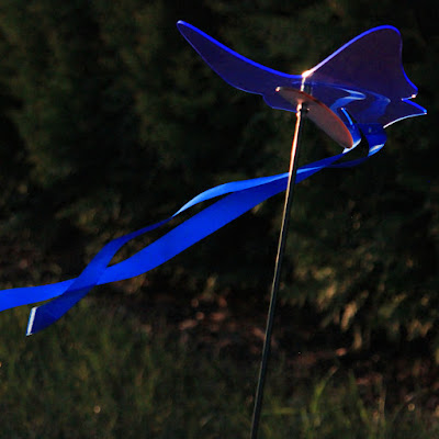 Sonnenfänger - Schmetterling