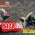 Sistem Keamanan Situs Sabung Ayam Online S128 untuk Kenyamanan Bermain