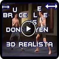 Bruce Lee vs Donnie yen 3D Realista