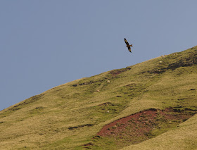 Llyn Y Fan Fach walk