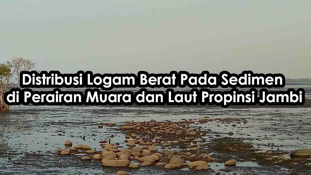 pencemaran laut jambi