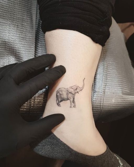 Tatuagens de elefante