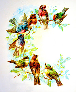 Vintage song birds perched in tree image