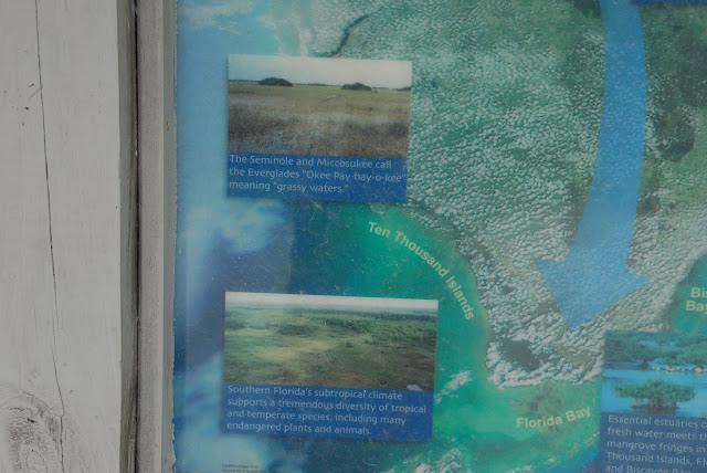 Fakahatchee Strand Preserve State Park