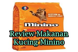 Review Makanan Kucing Minino