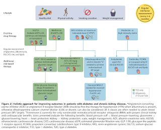 KDIGO Diabetes Management