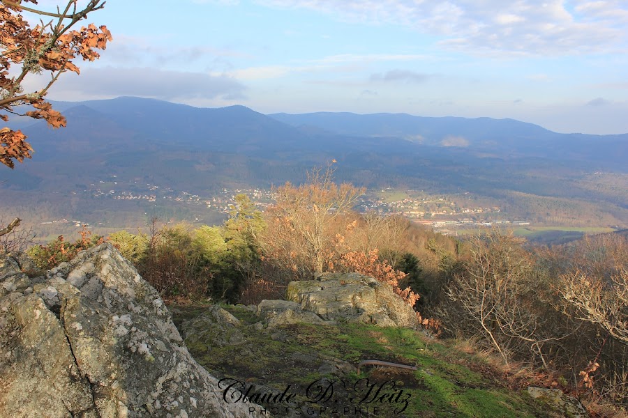 le falkenstein