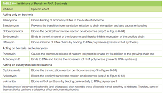 inhibidores de sintesis de proteínas