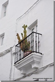 Vejer de la Frontera. Rincones - DSC_0316