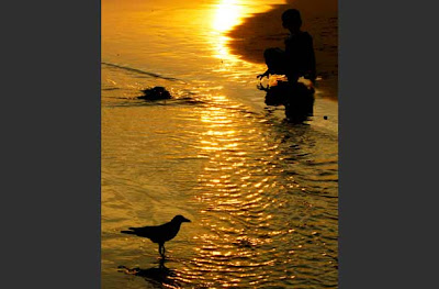 A child sits beside a polluted water canal near the beach at the Dehiwala suburb of Colombo