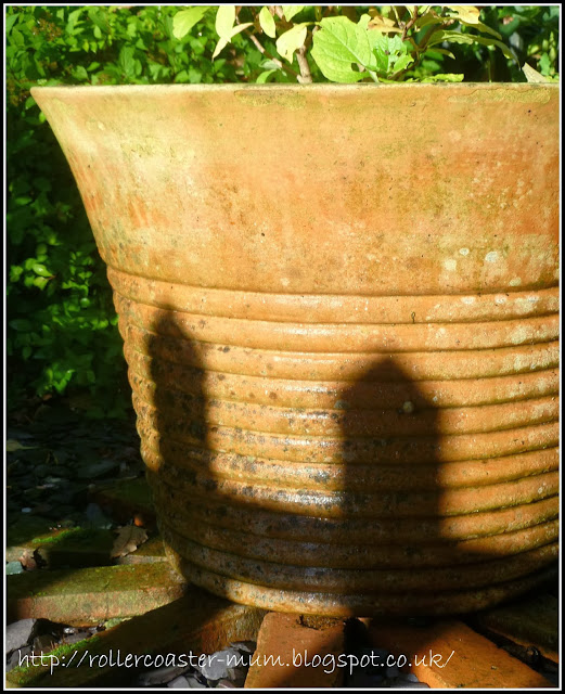 long winter shadows