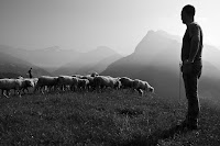 Shepherd - Photo by Alberto Bigoni on Unsplash