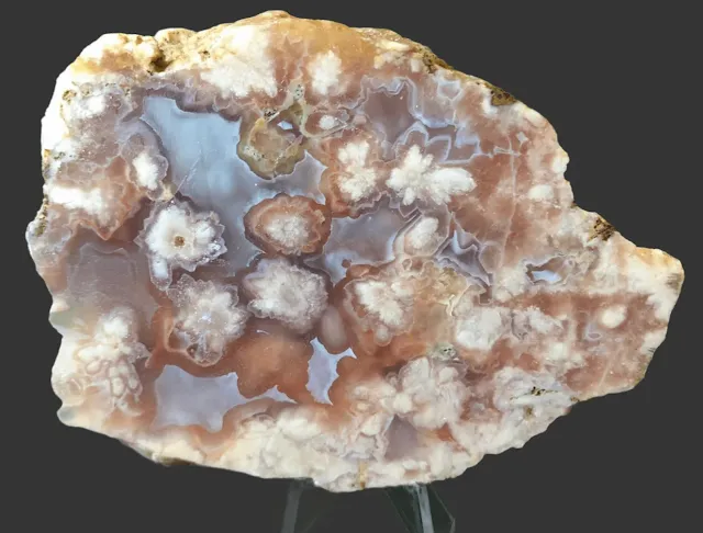 Flower Agate slab with floral chalcedony patterns, Madagascar