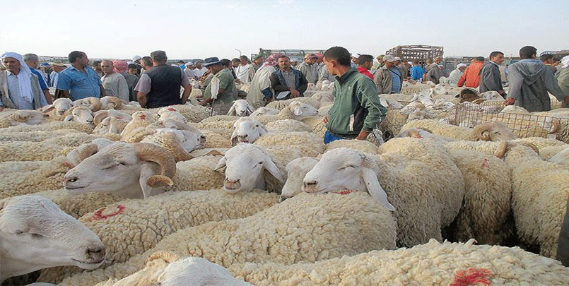 موعد فتح أسواق الماشية.فيروس كورونا ما هو كورونا ؟ أعراض فيروس كورونا ؟ الوقاية من فيروس كورونا ؟ الشفاء من فيروس كورونا عدد قتلى وباء فيروس كورونا ؟ كورونا عبر العالم كم عدد إصابة جديدة مؤكدة بفيروس كورونا في الجزائر اليوم ؟ عدد وفايات فيروس كورونا في الجزائر ؟ #كورونا #corona #فيروس_كورونا #Corona_virus حالات الإصابة المؤكدة بفيروس كورونا في الجزائر الجزائر - ليبيا : هل ستتدخل الجزائر عسكريا في ليبيا ؟ تعرف على الوزير الأول #عبد_العزيز_جراد بعد تعيينه من طرف رئيس الجمهورية #عبد_المجيد_تبون. والي مستغانم فيديو والي ولاية مستغانم Premier-ministre-Abdelaziz-Djerad من هو عبد العزيز جراد ؟ من يكون عبد العزيز جراد ؟ أين ولد عبد العزيز جراد ؟ المناصب التي شغلها عبد العزيز جراد ؟ مؤهلات عبد العزيز جراد ؟ المستوى التعليمي لعبد العزيز جراد ؟ عائلة عبد العزيز جراد مؤلفات عبد العزيز جراد صور عبد العزيز جراد فيديو عبد العزيز جراد صور حديثة عبد العزيز جراد 2020 لمحة عن عبد العزيز جراد أول وزير أول في حقبة تبون تبون و عبد العزيز جراد أصول عبد العزيز جراد تاريخ ميلاد عبد العزيز جراد ؟ مكان ولادة عبد العزيز جراد ؟ عبد العزيز جراد ويكيبيديا  ماذا قال عبد العزيز جراد حكومة عبد العزيز جراد ؟ أعضاء حكومة عبد العزيز جراد أملاك عبد العزيز جراد فضايح عبد العزيز جراد بيان رئاسة الجمهورية - بالفيديو : هكذا رثت رئاسة الجمهورية الفريق أحمد قايد صالح وفاة الفريق أحمد قايد صالح الواء أحمد قايد صالح من هو أحمد قايد صالح ؟ مآثر أحمد قايد صالح  اين ولد أحمد قايد صالح ؟ من هو خليفة أحمد قايد صالح ؟ من يكون خليفة أحمد قايد صالح ؟ الفريق أحمد قايد صالح في ذمة الله تاريخ ميلاد أحمد قايد صالح من هو اب أحمد قايد صالح ابناء أحمد قايد صالح  علاقة أحمد قايد صالح بالامارات علاقة أحمد قايد صالح بقطر علاقة أحمد قايد صالح بفرنسا المجاهد أحمد قايد صالح صور أحمد قايد صالح فيديوهات أحمد قايد صالح من هو السعيد شنقريحة ؟ من هو سعيد شنقريحة ؟ اسباب وفاة القايد صالح اخر فيديو للقايد صالح اخر مناورات الجيش في عهد القايد صالح علاقة سعيد شنقريحة بالقايد صالح ؟ صور سعيد شنقريحة مع القايد صالح من سعيد شنقريحة و اين ولد ؟ اين ولد سعيد شنقريحة ؟ تاريخ ميلاد سعيد شنقريحة ؟ مناصب التي تقلدها سعيد شنقريحة ؟ اين تقع بلدية القنطرة ببسكرة ؟ سعيد شنقريحة ويكيبيديا عائلة سعيد شنقريحة ؟ فرنسا و سعيد شنقريحة ؟ صور سعيد شنقريحة ؟ هل شارك سعيد شنقريحة في حرب 1973 ضد اسرائيل؟ سعيد شنقريحة في مصر عام 1973 le-generale-gaiid-salah-chef-de-armee-algerienne-est-mort chengriha ! Le général Saïd Chengriha remplace Ahmed Gaïd Salah général major Saïd Chengriha #تبون_رئيس,#عبد_المجيد_تبون,#الرئيس_الجديد_تبون,#الرئيس_تبون_الجزائر, الجزائر 2020,موقع الجزائر للجميع,العرب,الأمازيغ الشاوية,زواوة,الزواف,تونس,المغرب,ليبيا,مصر,السعودية,لبنان,الحراك الشعبي في الجزائر,حراك 22 فيفري,سجن الحراش,اويحي,توفيق,حداد,طليبة,علي فوضيل,النهار,الشروق,البلاد,فرنسا,روسيا,أمريكا,رئاسيات 12 ديسمبر,الانتخابات الرئاسية في الجزائر,12 12 2019,dz,dzair,algérie,france,morocco,tunis,egypt,football,mahrez,man city,live,direct,hd,gool,but,fullhd,site oficiel,algeria,kora,algeria4all,2019,2020,2021,سيدي امحمد,العدالة,توظيف,مسابقات التوظيف,اعلانات التوظيف,مدونة التوظيف,تحميل,جديد,أخر أخبار الجزائر,كل شيء عن الجزائر,اخبار الرياضة,اخبار التعليم,اخبار السياسة,وزارة,سحب,التسجيل,بكالوريا 2020,كيف ؟,فلسطين,اسرائيل,الصهاينة,الجزائر و فلسطين,مباراة,كرة القدم,الرئس الجديد,الحملة الانتخابية,رياض محرز,محرز,دراجي,قناة bein sport,bein hd,beoutq,الجزيرة,aljazeera hd,channel,رئيس الدولة,عبد القادر بن صالح,مرض بن صالح,موت بن صالح,زيتوت,فيديوهات مضحكة,زيطوط,امير ديزاد,amir dz,المعارضة,الاالإخوان,قطر,تركيا,اردوغان,#الجزائر,#الانتخابات,#الحراك_الشعبي,#algérie,@الجزائر,@algérie,@hirak,#الحزائر_تنتخب ,ادماج عمال عقود ماقبل التشغيل,مباشر محكمة سيدي امحمد,متابعة محاكمة أويحي و سلال,محاكمة سلال و أويحي,القضايا المتابع فيها أويحي و سلال,الإستماع إلى علي حداد,ماذا قال علي حداد,قضية تمويل العهدة الخامسة,قضية مصانع تركيب السيارات,المناظرة الرئاسية,أين هرب بوشوارب,الأحكام الصادرة في حق اويحي و سلال,الاحكام الصادرة في حق علي حداد,البرلمان الاوروبي,قناة النهار,قناة البلاد,قناة الشروق,كم تقدر قيمة الأموال المنهوبة في الجزائر,@علي_حداد,#علي_حداد,@السعيد_بوتفليقة من يكون القائد الجديد للجيش الجزائري ؟ #وفاة_الفريق_أحمد_قايد_صالح #الجيش_الجزائري #سعيد_شنقريحة عدد المصابين والوفيات يوميا عبر مختلف الولايات الديوان الوطني للارصاد الجوية قناة الحياة TV الجزائرية  رمضان كريم رمضان مبارك هاشتاغ رمضان رمضان في زمن الكورونا الصيام في كورونا هل يقضي رمضان على كورونا ؟ #رمضان_2020 #رمضان_1441 #Ramadan #Ramadan_2020 المواقيت الجديدة للحجر الصحي كاميرا كاشي قناة البلاد كامبرة كاشي قناة النهار كاميرة كاشي قناة الشروق كاميرا كاشي قناة نوميديا كاميرا كاشي قناة الحياة ايناس عبدلي, اميرة ريا, ريفكا,