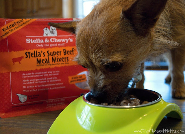Mini Review: Stella & Chewy's Meal Mixers