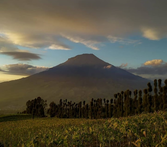 Wisata Temanggung